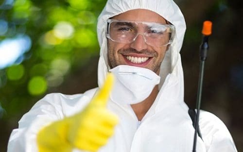 Entreprise De Traitement Anti Nuisible Professionnel Solution Nuisible