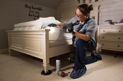 Guide de traitement des punaises de lit avec insecticide