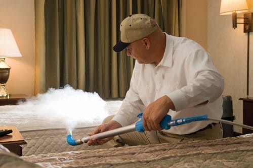 Technicien pour traitement thermique vapeur contre les punaises de lit