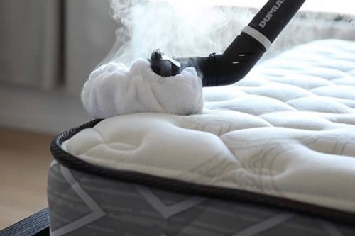 Traitement thermique : Extermination des punaises de lit avec un nettoyeur vapeur