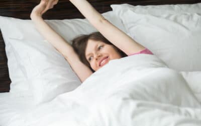 Quels traitements efficaces pour se débarrasser des punaises de lit ?