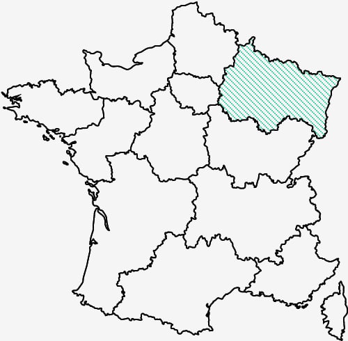 Traitement Anti Nuisible En Grand Est Entreprise 7j 7 Solution Nuisible