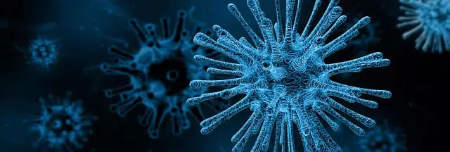 désinfection Auvergne Désinfection Auvergne : Bactéries et Virus