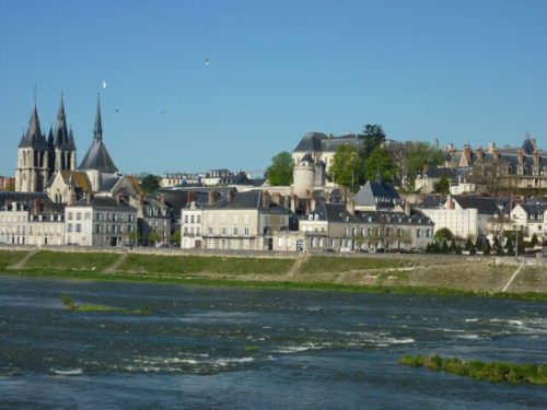 Entreprise spécialisée en dératisation à Blois pour exterminer les rongeurs