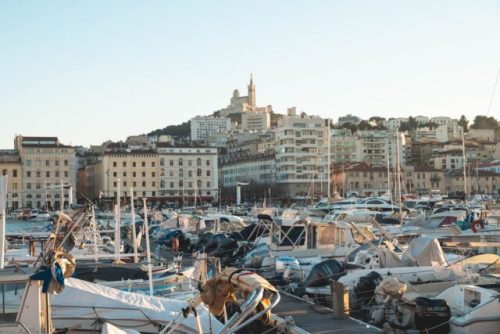 Destruction professionnelle de nids de guêpes et de frelons asiatiques à Marseille