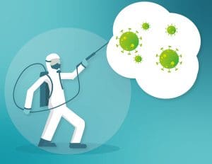 Les vrillettes : éradiquez ces nuisibles avec des traitements professionnels
