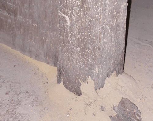 invasion de termites : signes