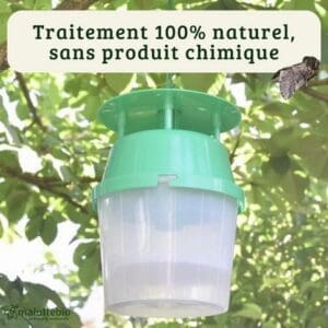 Piège + Phéromone Chenille Processionnaire du chêne