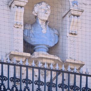 Filet anti-pigeon pour balcon et toit : Solution naturelle pour pigeons