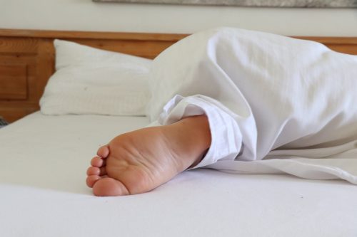 Housse anti punaise de lit pour protéger votre matelas