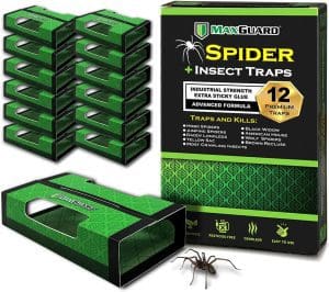 Stop Araignées lot de 3 x 1L - Pulvérisateurs anti araignée