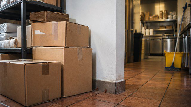 Cartons de livraison et zone de stockage en cuisine professionnelle, vecteurs possibles d’introduction de cafards