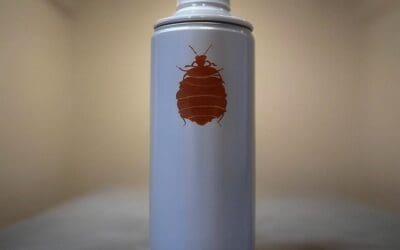 Comment choisir son fumigène anti punaise de lit ? Le guide d’achat et protocole