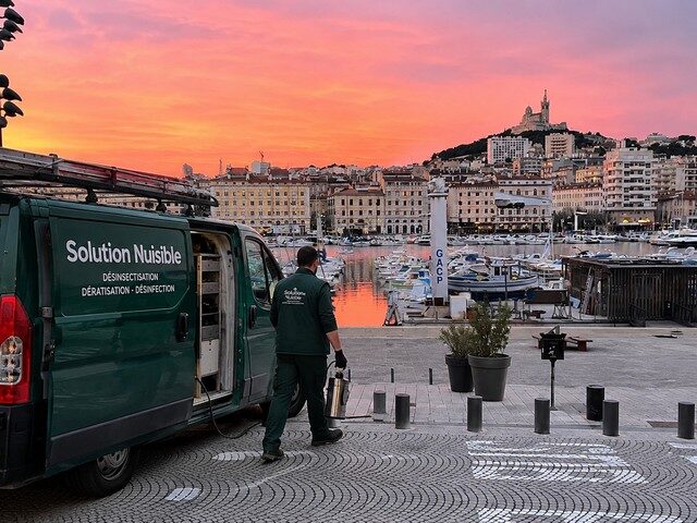 Technicien de désinsectisation à Marseille devant son utilitaire vert sur le Vieux-Port