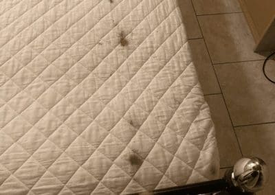 Tache de sang sur le drag et matelas