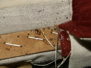Crottes de punaise de lit : À quoi ressemblent-elles, où les trouver et comment les nettoyer efficacement ?