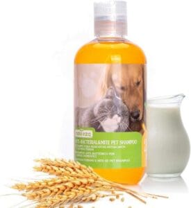 Nobleza Shampooing pour Chien Peau Sensible, shampooing Chat Anti puces, Anti Odeur, Anti demangeaisons, Antifongique Parfum d'avoine et de Lait 250ml