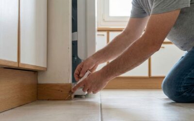 Gel anti-cafards : comment choisir le bon et l’utiliser correctement