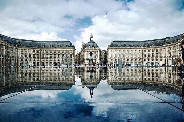 Punaise de lit bordeaux