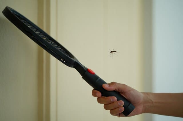 raquette anti moustique