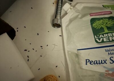 Caca de cafards dispersé sous un évier, entre les tuyaux et les produits ménagers.