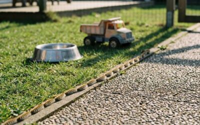 Chenille processionnaire au sol : comment les tuer en toute sécurité