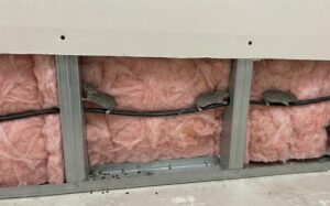 Souris dans les murs : bruits, traces, odeurs… comment vérifier, réagir et se débarrasser durablement du problème