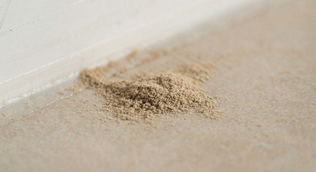 Excréments de termites dépôt fin et poussiéreux