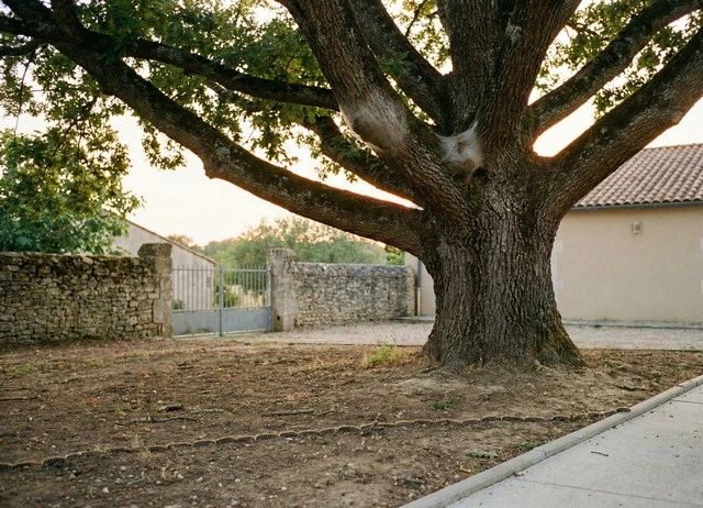 Désinsectisation Chenilles dans le Loir et Cher 41 : Entreprise agréée