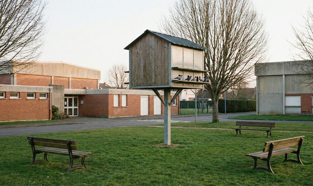 Pigeonnier contraceptif en bois sur pilotis installé au milieu d’un espace vert entre des bâtiments publics, avec quelques pigeons posés sur la façade. Pigeonnier contraceptif en bois sur pilotis installé au milieu d’un espace vert entre des bâtiments publics, avec quelques pigeons posés sur la façade.