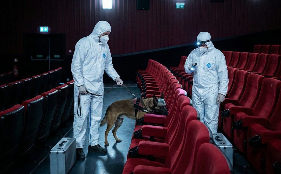 Punaises de lit à la Cinémathèque française : un mois de fermeture et traitement choc