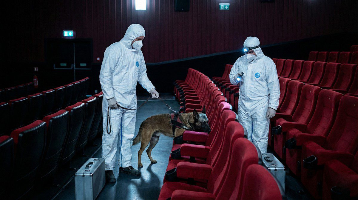 Techniciens en combinaison de désinsectisation, accompagnés d’un chien renifleur, inspectant les rangées de fauteuils d’une grande salle de cinéma vide Techniciens en combinaison de désinsectisation, accompagnés d’un chien renifleur, inspectant les rangées de fauteuils d’une grande salle de cinéma vide