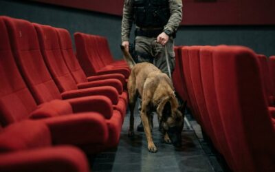 Après un mois de traitement, réouverture des salles de la Cinémathèque française