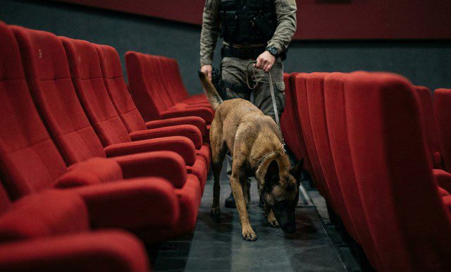 Après un mois de traitement, réouverture des salles de la Cinémathèque française