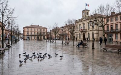 Gestion des pigeons à Blagnac : la mairie assume une méthode au CO₂, PAZ réclame l’arrêt
