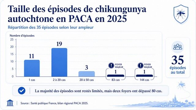 Épisodes de chikungunya en PACA 2025