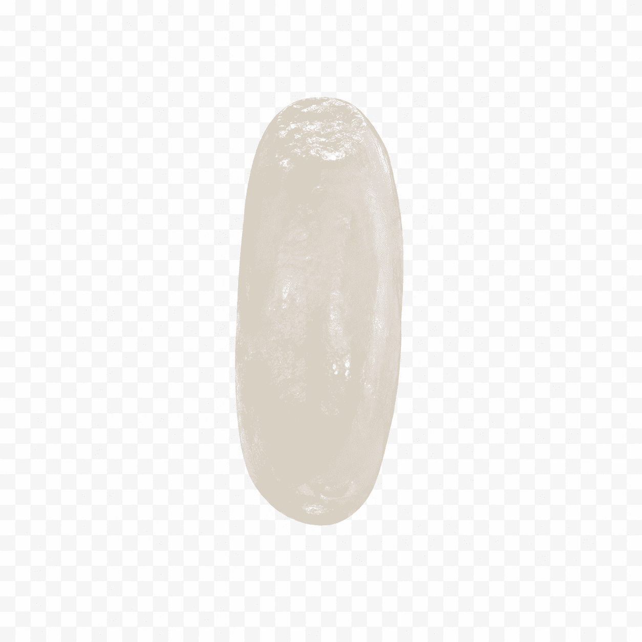 Œuf de punaise de lit blanc nacré et translucide sur fond transparent