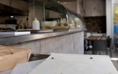 Mouches dans un fast-food à Saint-Denis : la préfecture ordonne sa fermeture en urgence