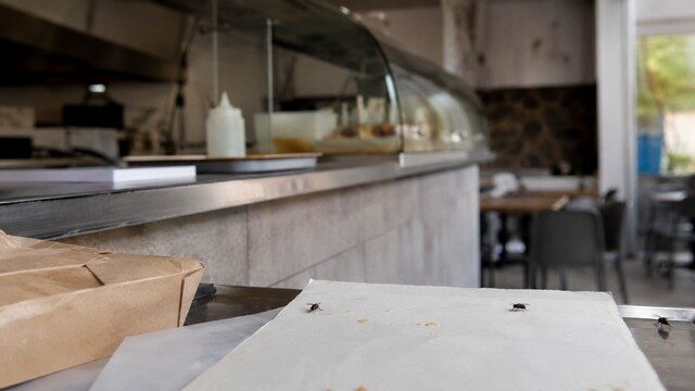 Mouches dans un fast-food à Saint-Denis