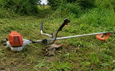 En débroussaillant un terrain, un homme de 58 ans grièvement blessé par une nuée de frelons asiatiques
