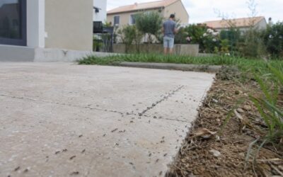 « Ça tape sur les nerfs » : en Ardèche, un lotissement presque entièrement envahi par des fourmis