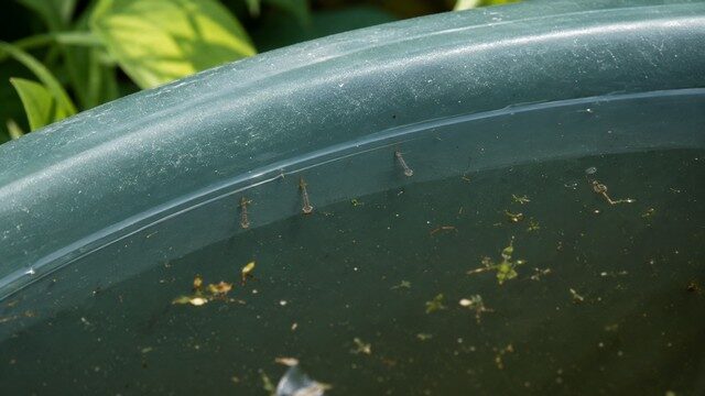 récupérateur d’eau pluviale récupérateur d’eau pluviale