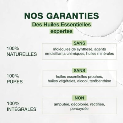 PRANARÔM - Gaulthérie Couchée - Huile Essentielle Chémotypée - Pour Cosmétiques Et Pour Apaiser Les Muscles - 100% Pure Et Naturelle - HECT - 10 ml