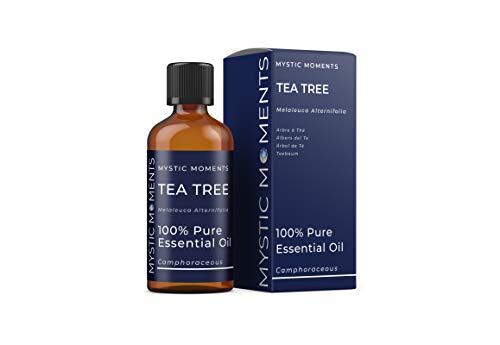 Mystic Moments Huile Essentielle d'arbre à Thé (100 ml)