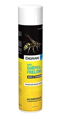 Aérosol insectiside à effet choc foudroyant Digrain produit Anti-Guêpes et Frelons (600 ml)