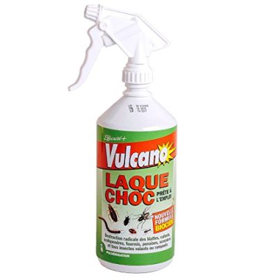 Vulcano laque Laque anti cafard 1 litre Spray puces punaises araignées