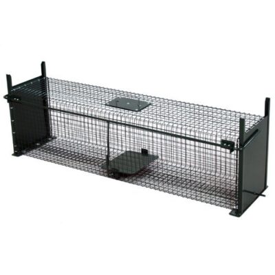 Moorland Piège de Capture - Cage -XL - pour Petits Animaux : Lapins, Chats, martres, fouines - 100x25x25cm - Deux entrées - 5007