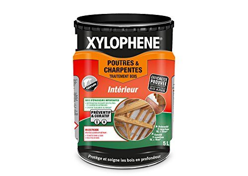 XYLOPHÈNE traitement poutres et charpentes : protection anti-insectes pour bois intérieur