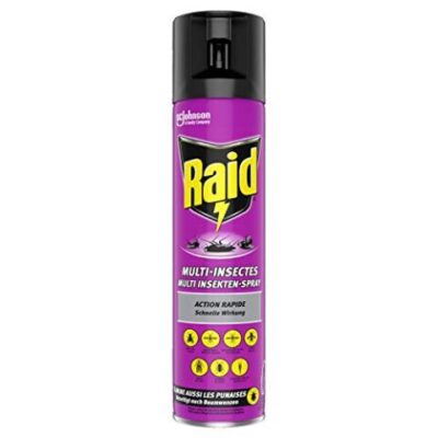 Raid Aérosol multi-insectes (400 ml)