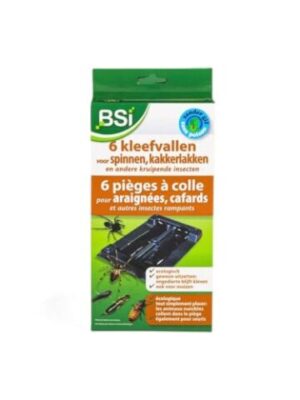 BSI 6x Piège à colle Anti Araignées, Cafards et autres insectes rampants, écologique, Noir